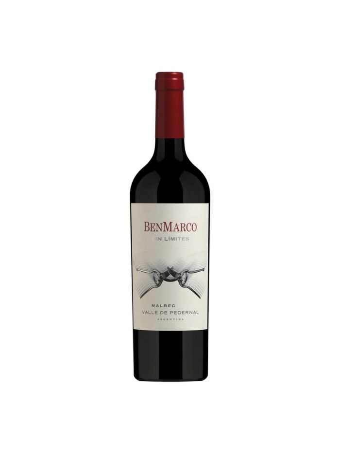 Vinho-suzana-balbo-benmarco-sin-limites-malbec-2018-tinto-argentina-750ml