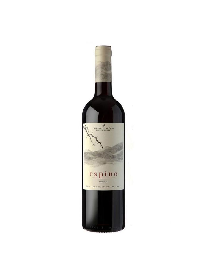 Vinho-william-fevre-espino-reserva-especial-merlot-2020-tinto-chile-750ml