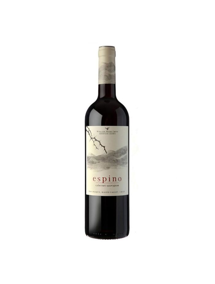Vinho-william-fevre-espino-reserva-especial-cabernet-sauvignon-2018-tinto-chile-750ml